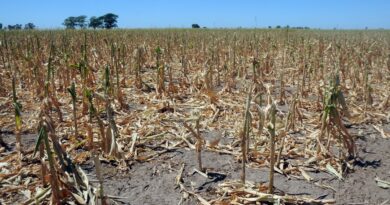 Tucumán: Escasez de agua y altas temperaturas